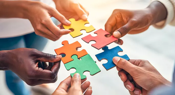 Jigsaw pieces