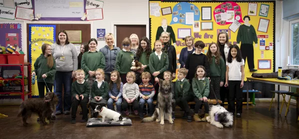 The School With One Dog For Every Three Pupils