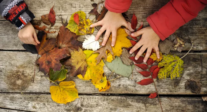 The Autumn Term: Why November Is The Backbone Of The School Year