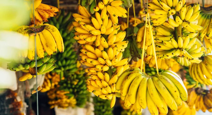A Teacher With A Severe Allergy To Bananas Was Pelted With The Fruit By Students
