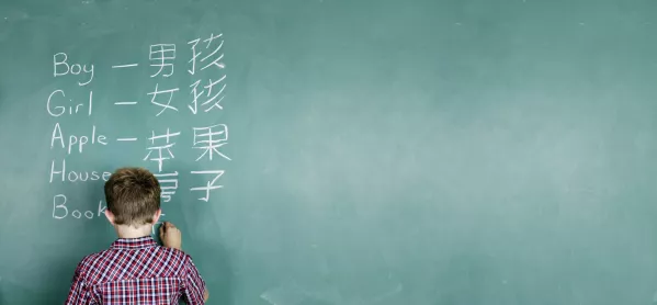 Boy At Blackboard, Learning Mandarin