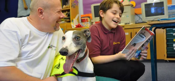 School Dogs Can Bring Huge Benefits - If Done Properly. Pic Credit: Heidi Hudson & The Kennel Club