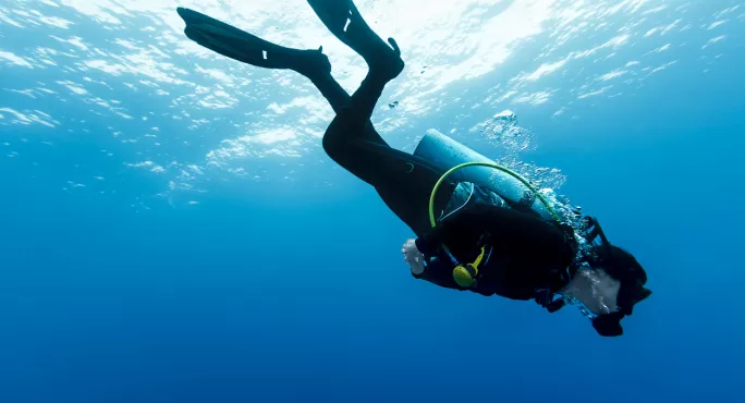 Scuba Diver Descends Into Sea