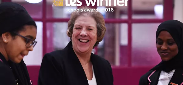 Denise Fox Won The Lifetime Achievement Award At The 2018 Tes Schools Awards.