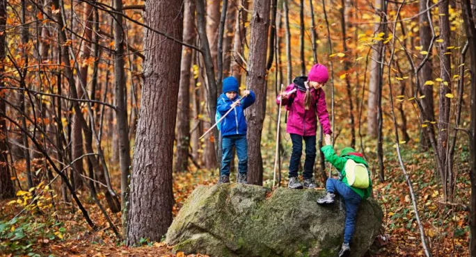 Shinrin-yoku: The Science Behind 'forest Bathing' To Boost School Pupils' Wellbeing