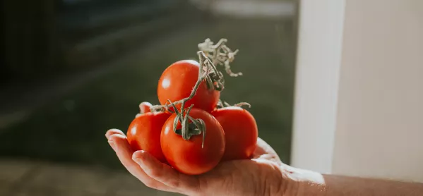 Strangest Teacher Gifts: One Teacher Was Given A Beef Tomato By A Pupil