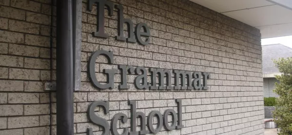 Grammar School Expansion