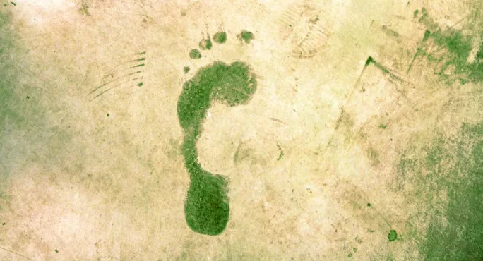 Climate Change Green Footprint