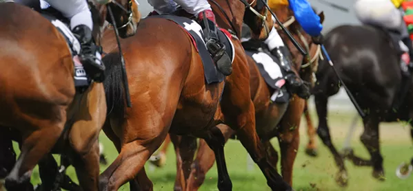 Could Ofqual Take Inspiration From Horse Racing?