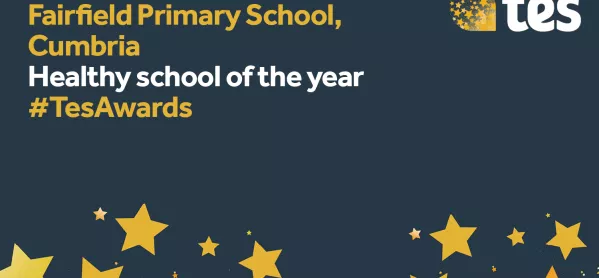 Tes Awards: Healthy School Of The Year