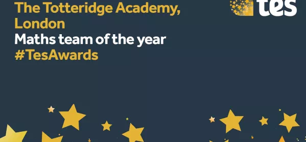 Tes Awards: Maths Teacher Or Team Of The Year