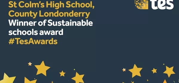 Tes Awards: Sustainable School Award