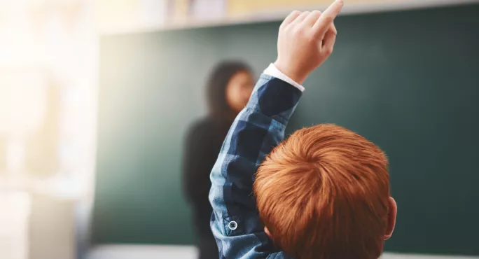 Pupil Raising Hand In Class