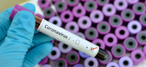Coronavirus: Free Tests For School Staff