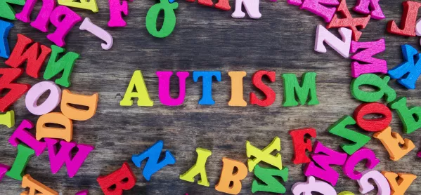 Autism: 'it’s Vital That Teachers Use The Right Terms'