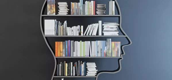 Brain With Books
