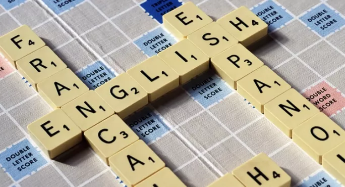 Languages Subjects Aren't Any More Difficult Than Other Subjects, Msps Are Told