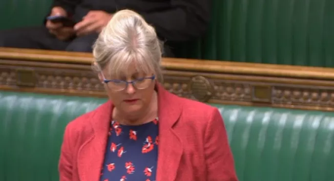 Anne Main Mp Has Criticised The Government On School Funding