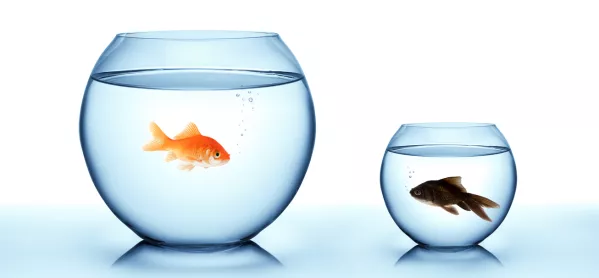 Goldfish In Large Bowl Next To Darker Fish In Smaller Bowl