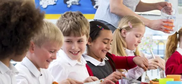 Campaigners Have Called For The Dfe To Implement The Proposed Healthy School Rating Scheme.
