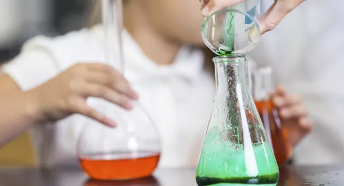 ​​​​​​​one In 10 Primary Teachers Should Have Master’s In Science, Msps Hear