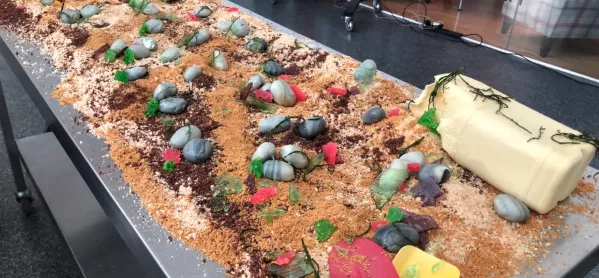 Colleges Week: Staff & Students At Cheshire College – South & West Have Created An Edible Beach To Raise Awareness About Climate Change