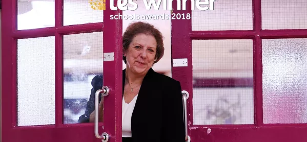 Denise Fox Of Fulham Cross Girls' School Won The Lifetime Achievement Award At The 2018 Tes Schools Awards.
