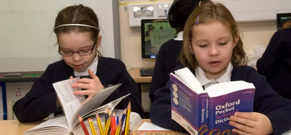 Literacy: Help Your Pupils Learn How To Use A Dictionary