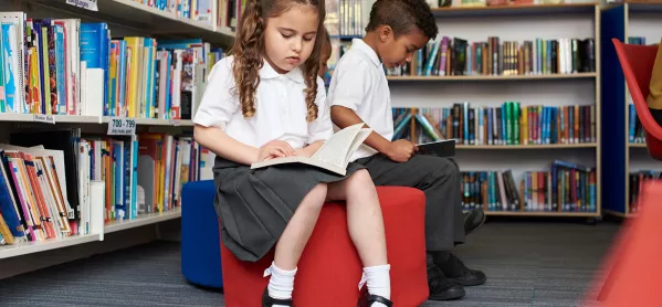 Too Many Classroom Books Reinforce Gender Stereotypes, Says Nicole Ponsford
