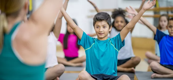 Pe: Youth Sport Trust Calls For More Curriculum Time For Physical Education