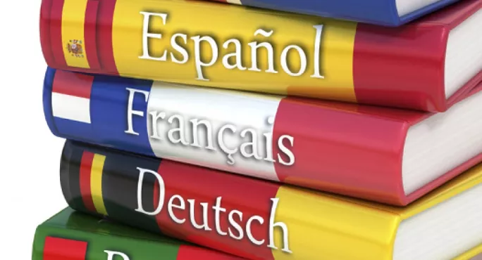 Pile Of Language Dictionaries, Including Spanish, French & German