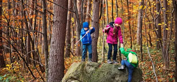 Shinrin-yoku: The Science Behind 'forest Bathing' To Boost School Pupils' Wellbeing