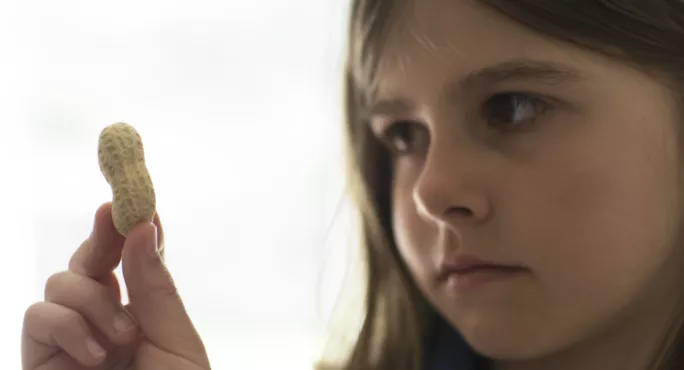 Young Girl Holds Peanut & Studies It