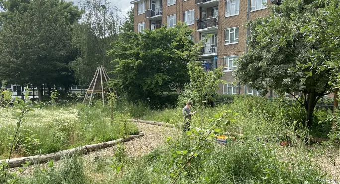 Outdoor Education: How Inner-city Schools Can Provide Forest Schools