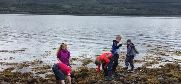 Covid & Schools: How Outdoor Learning Has Helped To Boost Pupil Attainment