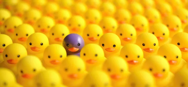 Cpd: One Purple Duck, In Among Lots Of Yellow Ducks