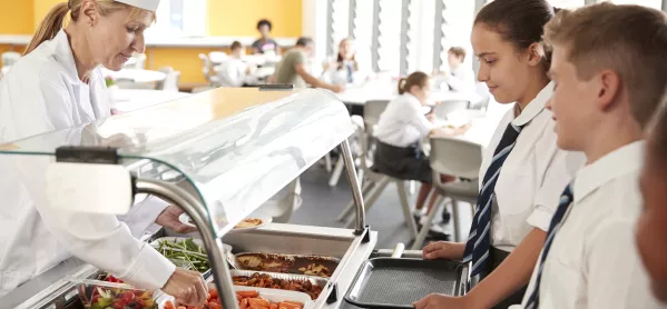 School Funding: School Cost-cutting Advisers Suggested Reducing Meal Portion Sizes At One School
