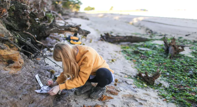 Gcses & A Levels 2022: Geography Fieldwork May Be Shelved Again Due To Covid