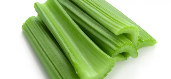 Behaviour & Safeguarding: How Celery Can Help To Tackle School Students' Risky Behaviour