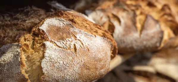How To Introduce Curriculum Sequencing – Think Of It As Like Baking Sourdough Bread
