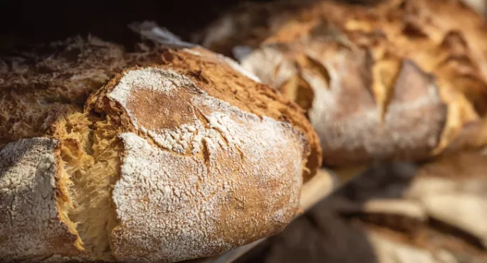 How To Introduce Curriculum Sequencing – Think Of It As Like Baking Sourdough Bread