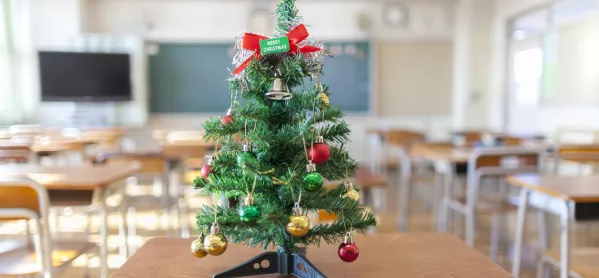 Christmas Tree In Classroom