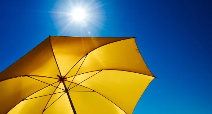 A Parasol In The Sun