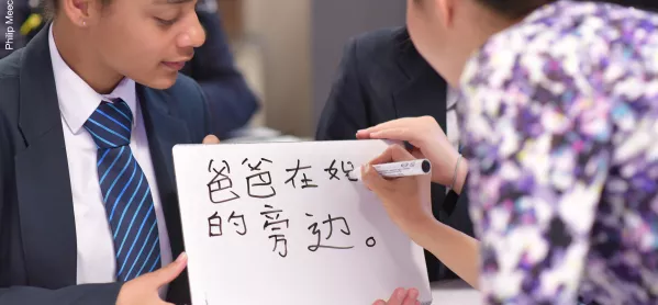 Reasons Why Your School Should Teach Mandarin