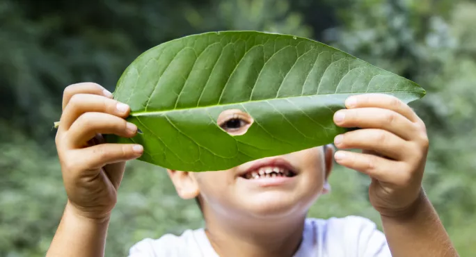 Eyfs: Why Teaching Maths Outdoors Fires Up Young Imaginations