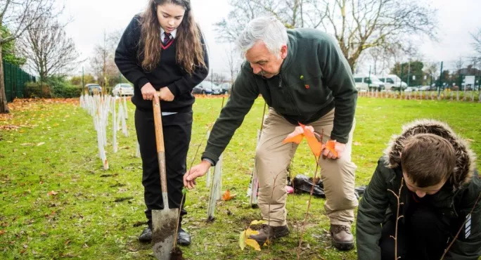 Why Every School Should Be Planting Trees - & How To Do It