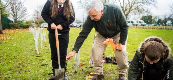 Why Every School Should Be Planting Trees - & How To Do It