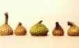 Acorns