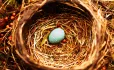 Teacher pension nest egg
