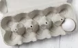 Empty egg carton